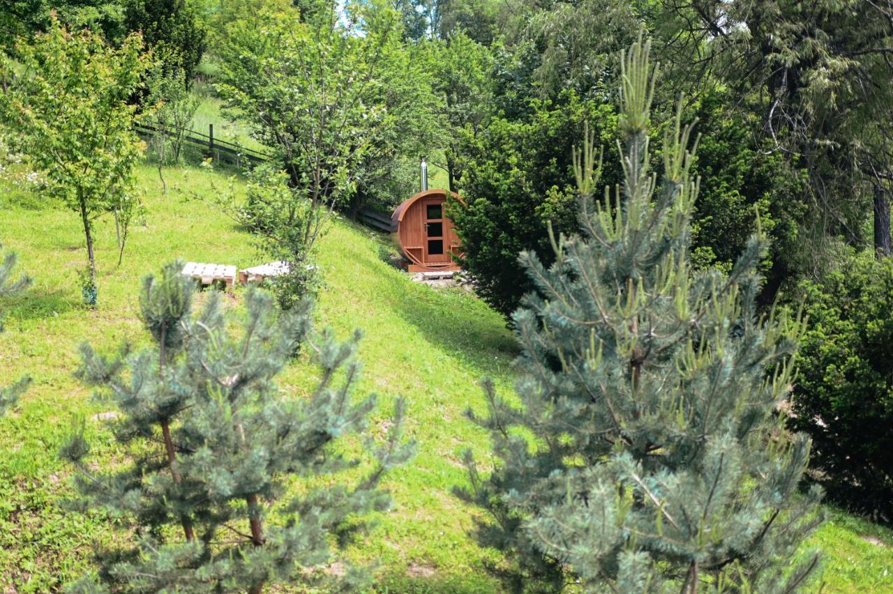 Cisowka Pokoje Goscinne Piwniczna-Zdroj Экстерьер фото
